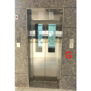 Passenger Platform Lift